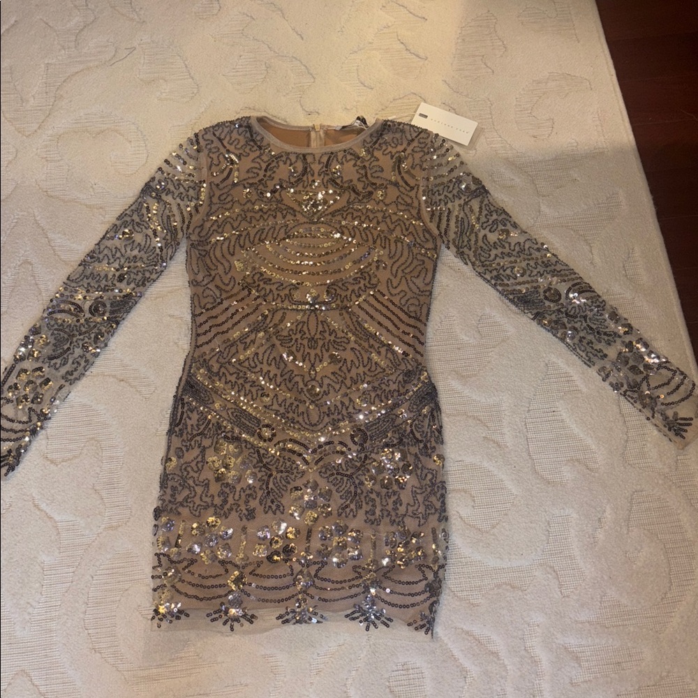 Endless Rose Sequin Embellished Mini Dress - Gold and Silver